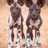 African Hunting Dog Puppies Diamond Painting