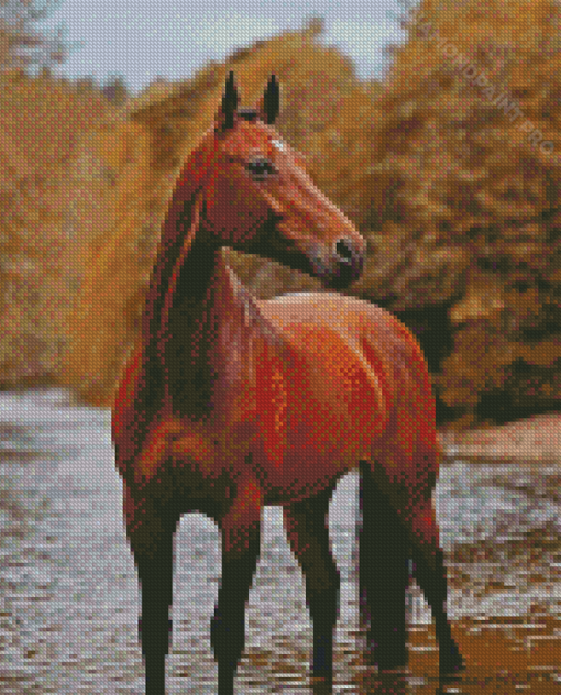 Bay Horse Diamond Painting