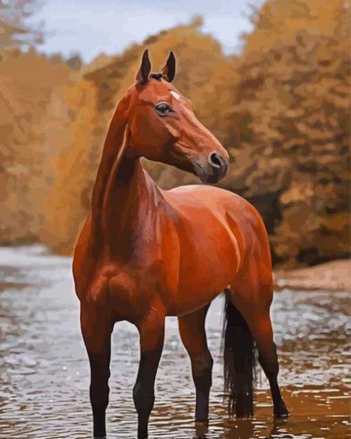 Bay Horse Diamond Painting