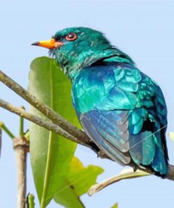 Blue Asian Emerald Cuckoo Diamond Painting