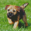 Border Terrier Puppy Diamond Painting