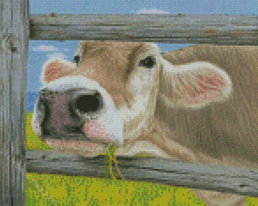 Cow By Fence Diamond Painting