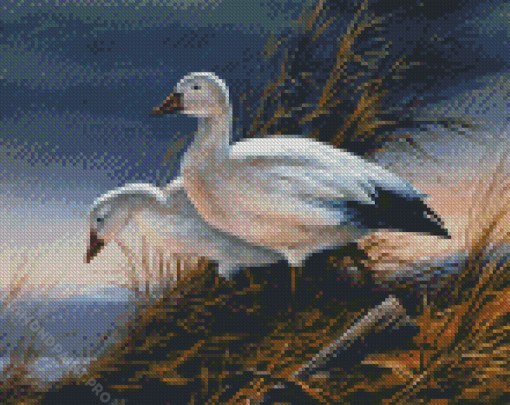 Goose Birds Diamond Painting