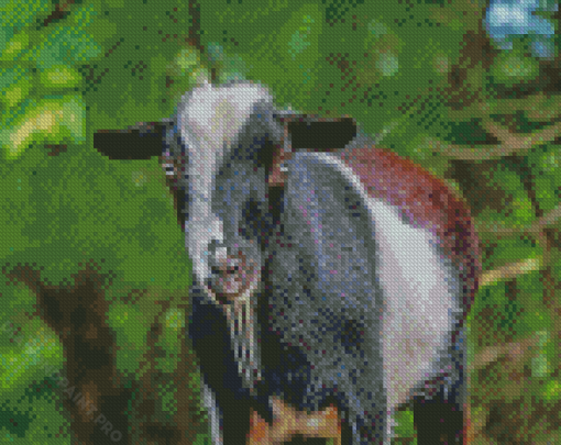 Nigerian Dwarf Goat Animal Diamond Painting