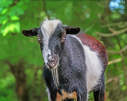 Nigerian Dwarf Goat Animal Diamond Painting