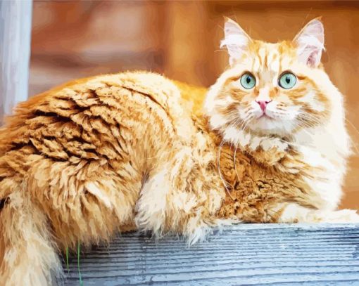 Orange Siberian Cat Diamond Painting