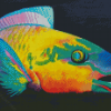 Parrot Fish Art Illustration Diamond Painting