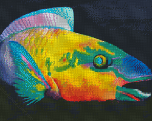Parrot Fish Art Illustration Diamond Painting