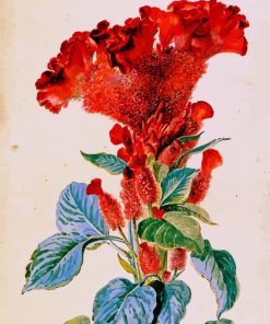 Red Cockscomb Flower Art Diamond Painting