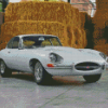 White Jaguar Type 1 Diamond Painting