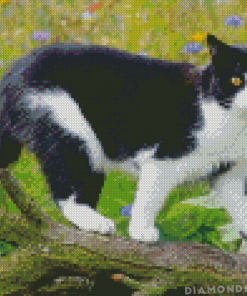Aesthetic Cute Tuxedo Cat Diamond Painting