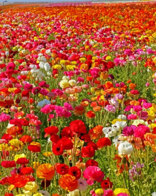 Colorful Flowers In Field Diamond Painting