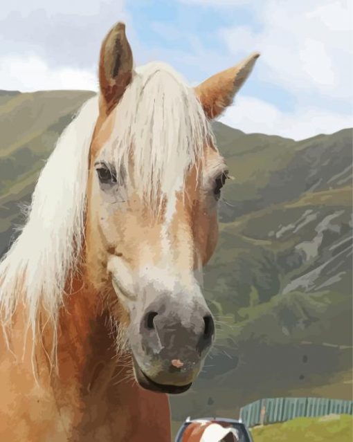Haflinger Horse Diamond Painting