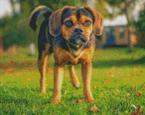 Puggle Dog Diamond Painting