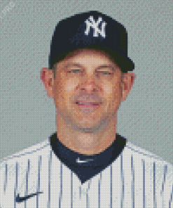 Aaron Boone Baseball Manager Diamond Painting