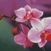 Aesthetic Pink Orchid Diamond Painting