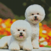 Aesthetic Small Dogs Diamond Painting