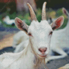 Aesthetic White Goats Diamond Painting