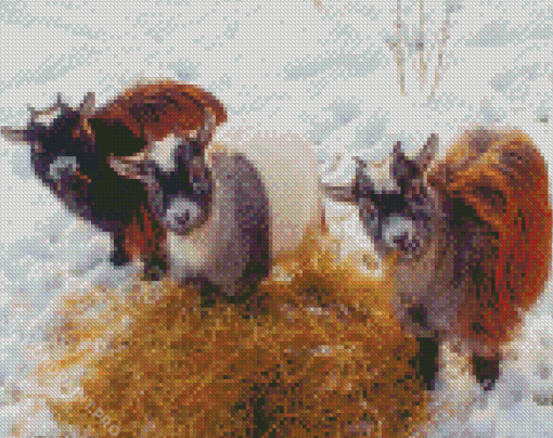 Baby Goats In Snow Diamond Painting