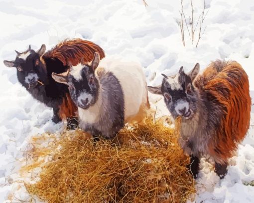 Baby Goats In Snow Diamond Painting