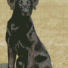Black Lab Dog Animal Diamond Painting