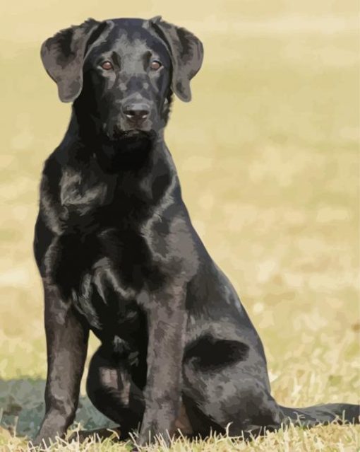 Black Lab Dog Animal Diamond Painting