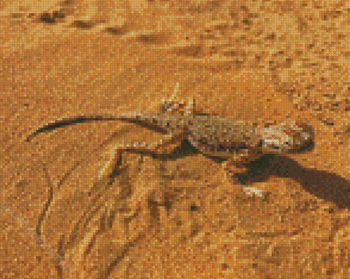 Desert Gecko Diamond Painting