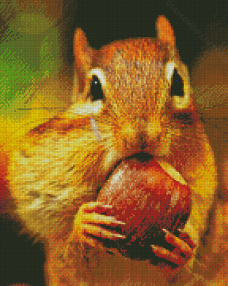 Squirrel Eating Acorn Diamond Painting