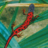 The Newt Diamond Painting