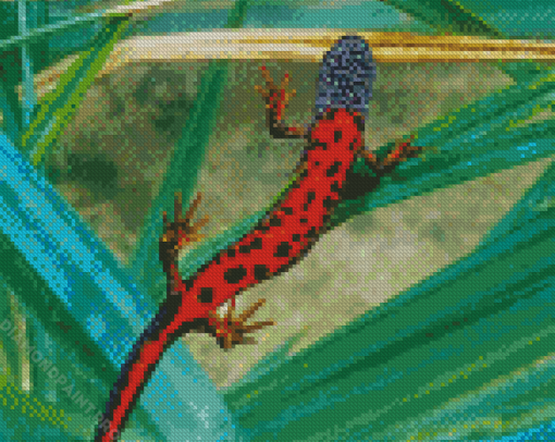 The Newt Diamond Painting