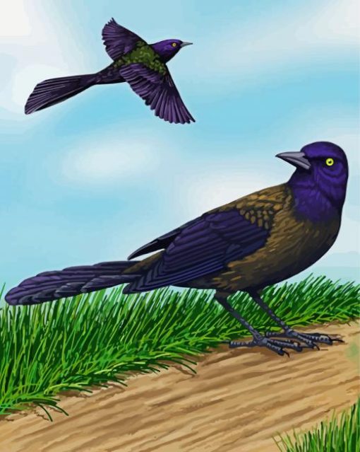Two Common Grackle Birds Diamond Painting