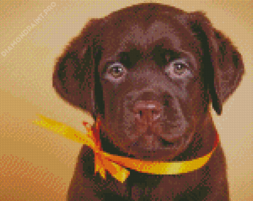 Adorable Brown Labrador Diamond Painting