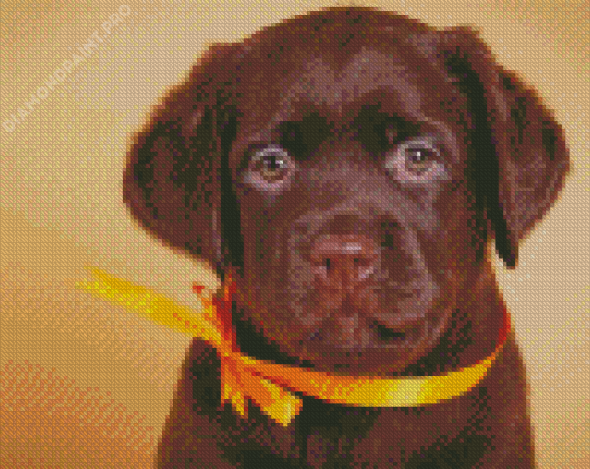 Adorable Brown Labrador Diamond Painting DiamondPaint.PRO