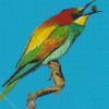 Aesthetic Bee Eater Art Diamond Painting