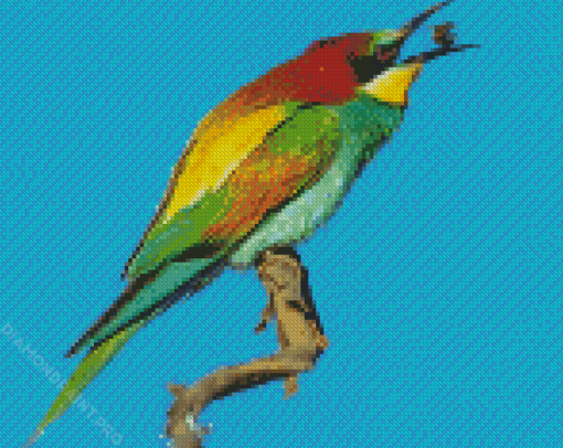 Aesthetic Bee Eater Art Diamond Painting