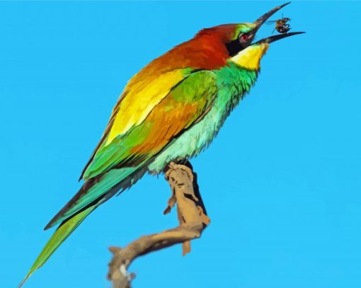 Aesthetic Bee Eater Art Diamond Painting