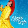 Aesthetic Singin In Rain Poster Diamond Painting