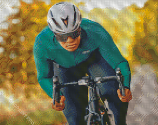 Bicycle Racing Diamond Painting