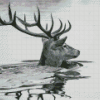 Black And White Stag Swimming Diamond Painting