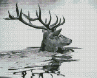 Black And White Stag Swimming Diamond Painting