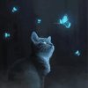 Butterflies Cat Night Diamond Painting