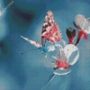 Butterfly On White Flowers Diamond Painting