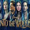 Into The Woods Poster Diamond Painting