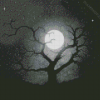 Moon And Trees Black And White Art Diamond Painting