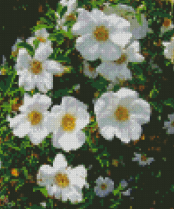 White Cherokee Flowers Diamond Painting