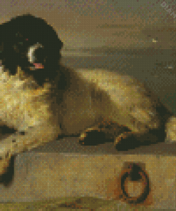 A Distinguished Member Of The Humane Society Diamond Painting