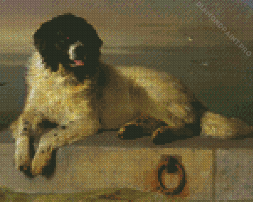 A Distinguished Member Of The Humane Society Diamond Painting