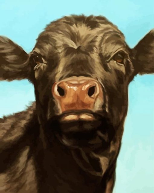 Aberdeen Angus Animal Diamond Painting