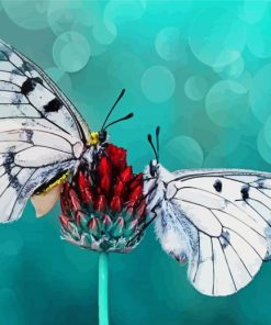 Aesthetic Couple Butterfly Illustration Diamond Painting