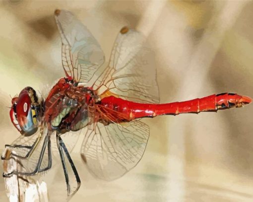 Aesthetic Red Dragonfly Diamond Painting